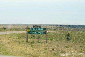 Picture 51