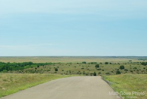 Picture 52