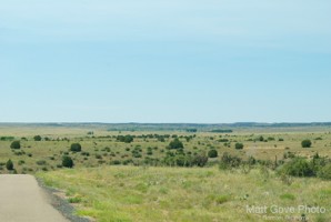 Picture 53