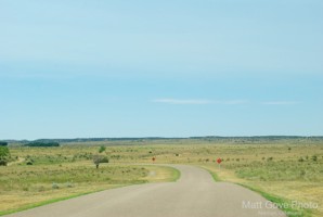 Picture 64