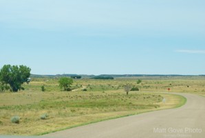 Picture 65