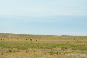 Picture 68