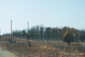 Picture 21