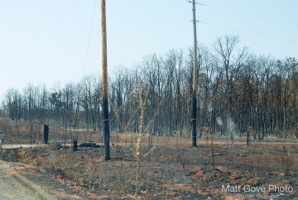 Picture 22