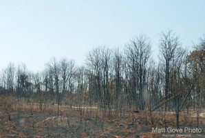 Picture 23