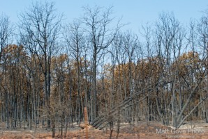 Picture 24