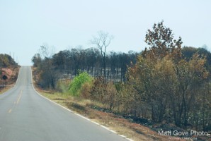 Picture 29