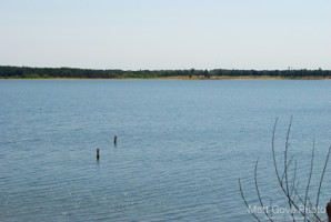 Picture 3
