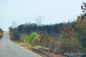 Picture 30