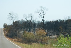 Picture 31
