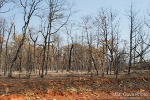 Picture 34