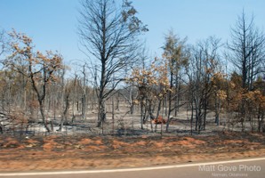 Picture 35