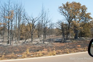 Picture 36