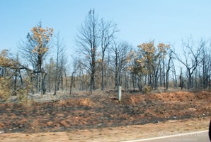Picture 37