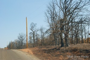 Picture 38