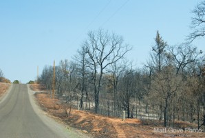 Picture 39