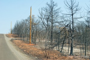 Picture 40