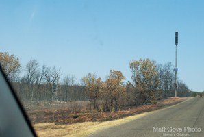 Picture 43