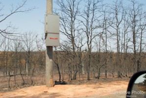 Picture 45