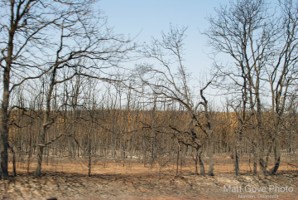 Picture 49