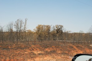 Picture 52