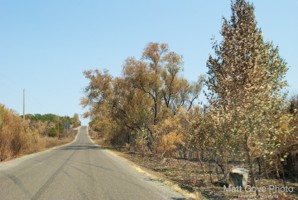 Picture 53