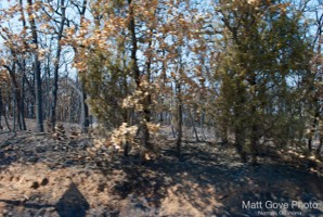 Picture 56