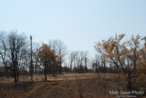 Picture 59