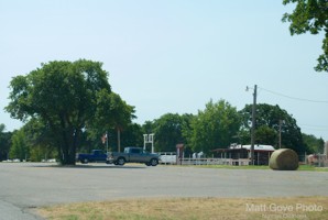 Picture 8