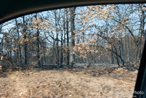 Picture 9