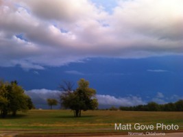 Picture 7