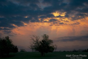 Picture 44