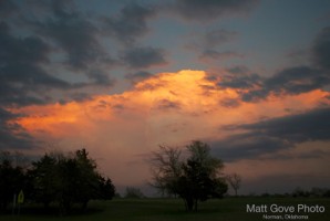 Picture 50