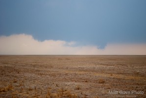 Picture 16