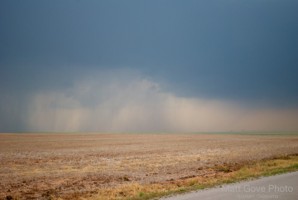 Picture 61
