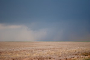 Picture 66