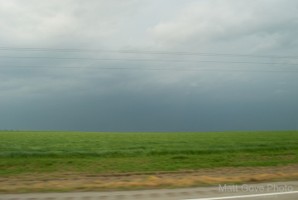 Picture 88