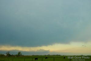 Picture 8