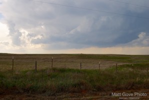 Picture 11