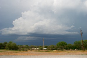 Picture 26