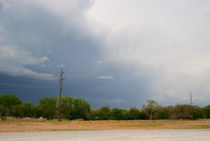 Picture 27