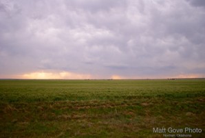 Picture 40