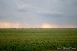 Picture 46