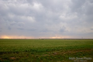 Picture 50