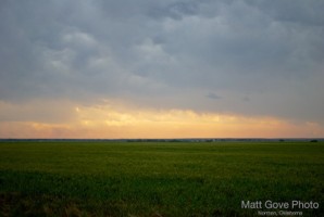 Picture 66