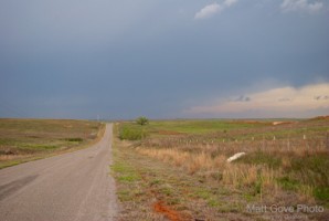 Picture 9