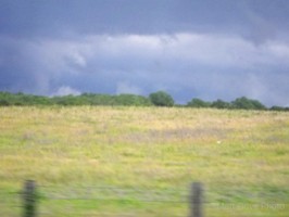 Picture 10