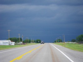 Picture 5