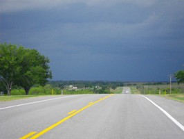 Picture 6