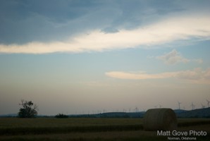Picture 7